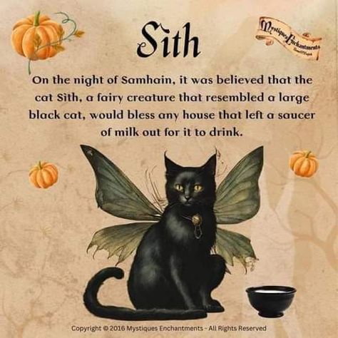 Cat Spells Witches, Magical Cat Art, Samhain Halloween, Curated Content, Wiccan Magic, Witch Spirituality, Grimoire Book, Magic Spell Book, Wiccan Spell Book