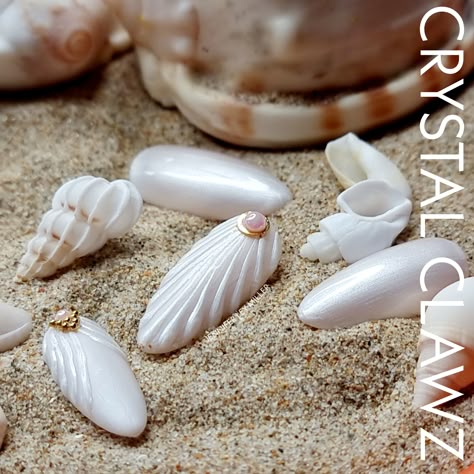 Boho Beach Nails, Shell Nails Seashells, White Shell Nails, Shell Nails Designs, Sea Shell Nail Art, Sea Shell Nails, Seashell Nail Art, Shell Nail Art, Shell Nails