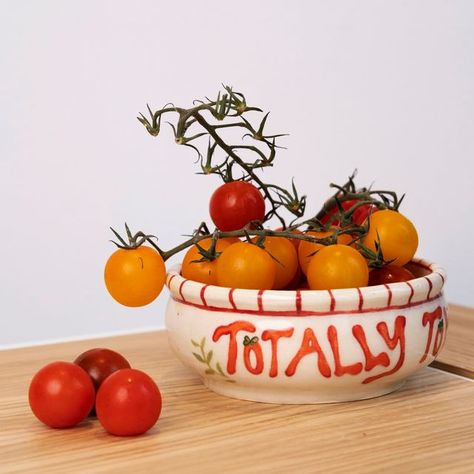 erin on Instagram: "a little bowl to celebrate tomato season! #pottery #wheelthrownpottery #potterydesign #handamdepottery #cutepottery #ceramics #cuteceramics #ceramicsdesign #handmadebowl #illustration #underglazepainting #wheelthrown #stoneware #tomatoseason #underglaze #glaze #amacovelvetunderglaze #amaco #cone6 #potterystudio #decorativeart #homedecor"