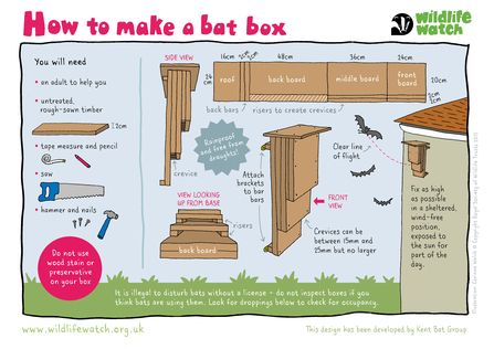 Making a bat box Bat Box Plans, Bat House Diy, Build A Bat House, Bat Box, Forest School Activities, Garden Wildlife, Bat House, Insect Hotel, Bird House Plans