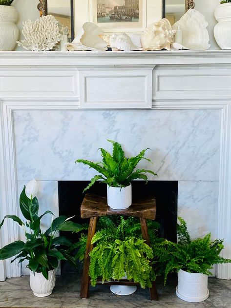 #summerfireplace #houseplants Plants In Fireplace, Fireplace Plants, Fireplace Filler, Fireplace Hearth Decor, Decorate Your Fireplace, Tall Basket, Dining Room Storage Ideas, Room Colours, Mantel Design