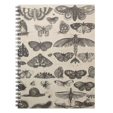 Insect Drawing, Cherry Products, Field Notes Journal, Field Notes Notebook, Illustration Science, Macabre Decor, Notes Notebook, Scrapbook Cover, Realistic Pencil Drawings