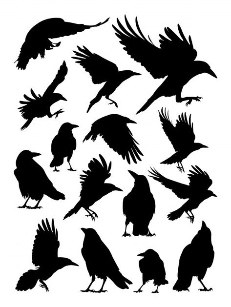 Raven Silhouette, Tattoo Silhouette, Rabe Tattoo, Crow Silhouette, Crows Drawing, Crow Tattoo Design, Tato Minimal, Raven Bird, Crow Tattoo