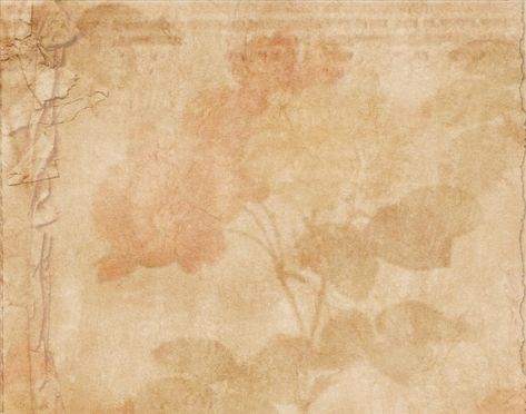 Aethstetic Backgrounds Vintage Brown, Brown Vintage Background, Blank Pages Aesthetic, Cardboard Wallpaper, 16:9 Wallpaper Backgrounds, Backgrounds Brown, Background Presentation, Vintage Backgrounds, Ladies Design