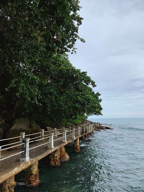 Road near sea The Sea Photography, Road Bridge, Sea Photography, By The Sea, The Road, The Sea, Bridge, Road, Photography