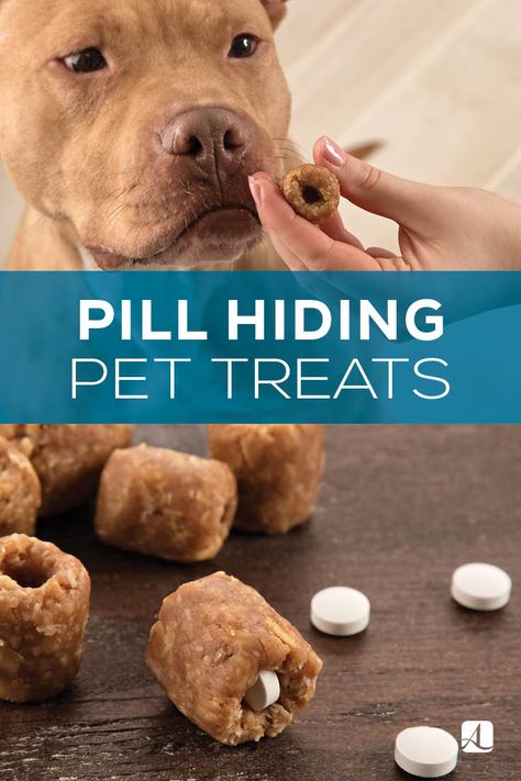 Homemade Pet Pill Pockets - American Lifestyle Magazine Dog Pill Pockets, Homemade Dog Cookies, Pill Pockets, Dog Treats Homemade Easy, Easy Dog Treat Recipes, A Spoonful Of Sugar, Diy Dog Food, Dog Biscuit Recipes, Easy Dog Treats