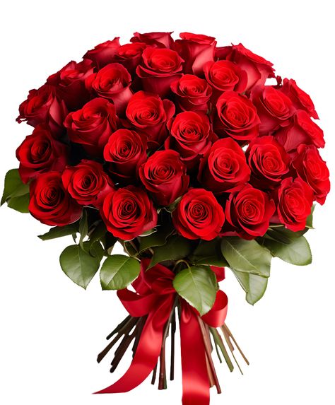 Red Roses Png, Red Rose Png, Rose Flower Png, Red Roses Bouquet, Bouquet Of Red Roses, Flowers Pics, Roses Png, Rosé Png, Red Rose Bouquet