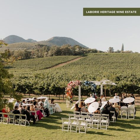 Thinking about getting married in the Cape Winelands?⁠ ⁠ Embark on a journey through South Africa's picturesque winelands, where romance mingles with the aroma of aged barrels and sprawling vineyards. Calling all wine enthusiasts and lovebirds alike! Get ready to uncork the magic as we unveil the {Top 8 Winelands Wedding Venues} that promise a blend of elegance, charm and of course, plenty of vino. 🍇💍⁠ .⁠ Click on the link in bio to catch the full release! 😄⁠ Winelands Wedding, Wine Enthusiast, Love Birds, Getting Married, South Africa, Wedding Venues, Barrel, Cape, This Is Us