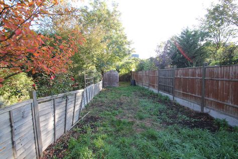 5 of the Best Before and After Garden and Patio Transformations | Houzz UK Sango Kaku, Patio Ideas Backyard, Contemporary Outdoor Living, Modern Backyard Design, Garden Transformation, Orchard Garden, Modern Patio Design, Modern Backyard, Patio Makeover