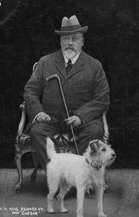 The 10 most famous dog-and-owner combinations in history, from Churchill and his poodles to the Royal dog with its own footman - Country Life Royal Dog, King Edward Vii, Famous Dogs, Fox Terriers, Wire Fox Terrier, King Edward, Jack Russel, Prince Albert, Fox Terrier