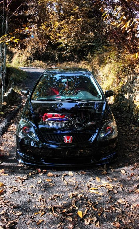 Alcohol Pictures, Honda Type R, R Wallpaper, Jdm Honda, Cars Room, Japanese Domestic Market, Best Jdm Cars, Honda Civic Type R, Acura Rsx