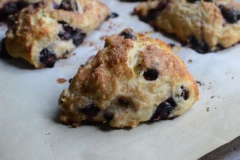 PP blueberry banana scones 005 Blueberry Brie, Homemade Scones, Savory Scones, Wild Goose, Blueberry Scones, Roll Recipes, Blueberry Recipes, Scone Recipe, A Cup Of Coffee