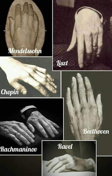 Pianist Hands Aesthetic, Pianist Hands, Classical Music Composers, Famous Composers, Istoria Artei, Classical Musicians, Queen Band, Music Composers, Composers