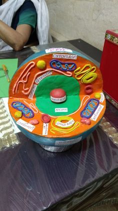 Animal Cell Diagram 3d, Human Cell Model Project, Cell Diagram Project Models, 3 D Animal Cell Model Project, Human Cell Model, Human Cell Project Ideas, Cell Model Project Ideas, Cell Project Ideas Models, Cell Diagram Project