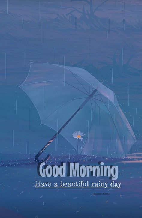 Rainy Good Night, Rainy Good Morning, Good Morning Rainy Day, Birthday Wishes Flowers, Rainy Morning, Good Morning Wallpaper, Good Morning Beautiful Pictures, Flowers Wallpapers, Morning Blessings