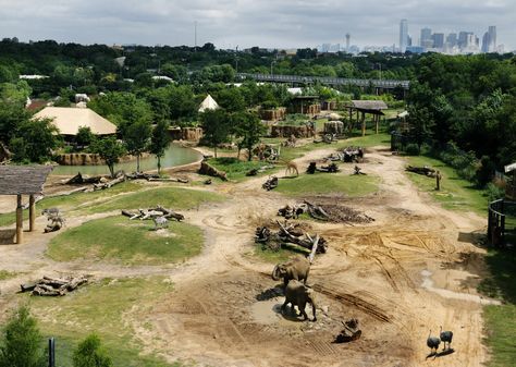 Dallas Zoo working to provide homes to African elephants... their new exhibit features elephants, giraffes, zebras, ostriches and other wild animals houses in the same large savannah-like habitat. ... #Zoo #Zoological #ZooDesign #ZooArchitecture #Animals #ZooAnimals Giraffe Habitat, Elephant Habitat, Elephant Zoo, Zoo Giraffe, Playgrounds Architecture, Dallas Zoo, Zoo Project, Zoo Architecture, Dallas City