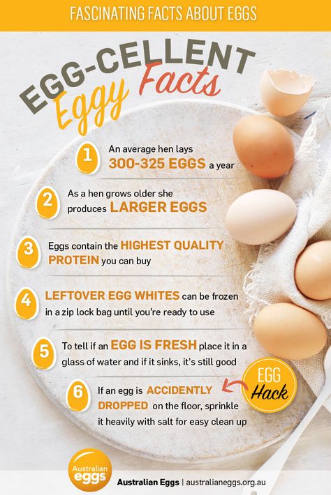 6 egg-cellent egg facts | myfoodbook | Food Stories Egg Facts, Budget Dinners, Egg Nutrition Facts, Health Benefits Of Eggs, Egg Nutrition, Egg Benefits, Food Health Benefits, Dinner On A Budget, Food Stories