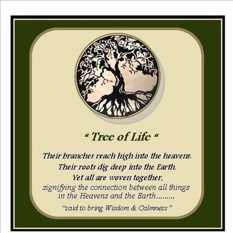 Tree Of Life Quotes Wisdom, Tree Of Life Meaning Quotes, Tree Of Life Sayings, Tree Of Life Tattoo Meaning, Tree Of Life Meaning Spiritual, Life Meaning Quotes, Tree Of Life Quotes, Tree Of Wisdom, Tree Meanings