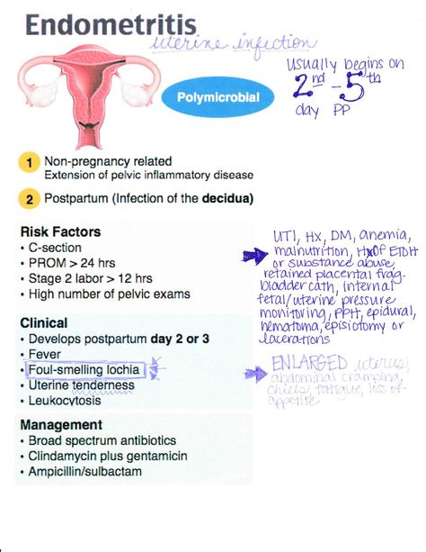 Obstetrics And Gynecology Notes, Gynaecology Notes, Nclex Motivation, Midwifery Aesthetic, Pediatric Nursing Study, Obstetrics Nursing, Nursing School Organization, Medical Assistant Student, Midwifery Student