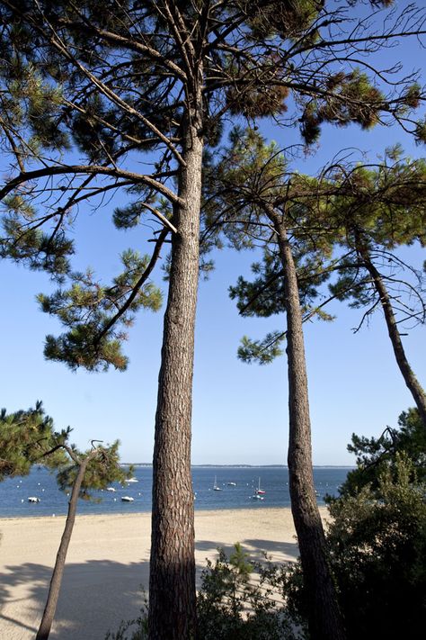 Road Trip France, Fav Place, Inspiration Nature, Cap Ferret, Art Wallpaper Iphone, Aquitaine, Pretty Places, Travel Bucket, Travel Fun