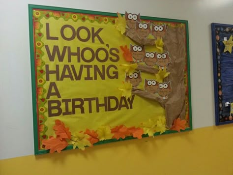 Fall 2013 birthday bulletin board More Fall Birthday Boards Preschool, Owl Birthday Board Classroom, September Birthday Board Ideas For Work, Back To School Birthday Bulletin Boards, Fall Birthday Wall For Classroom, November Birthday Bulletin Boards, November Birthday Board Ideas, September Birthday Board, September Birthday Bulletin Board Ideas