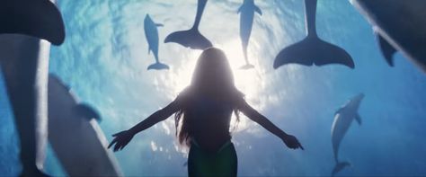 The Little Mermaid 2023, Little Mermaid 2023, Little Mermaid Live Action, Mermaid Movies, Family Films, Romantic Dream, Real Mermaids, Mermaid Aesthetic, Halle Bailey