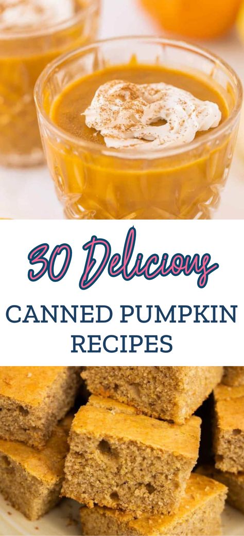 Things To Do With Canned Pumpkin, Pumpkin Can Recipes Easy, Pumpkin Filling Recipes Canned, Canned Pumpkin Puree Recipes, Recipes Using 100% Pure Pumpkin, What To Make With Canned Pumpkin, Recipes That Use Pumpkin Puree, Can Pumpkin Recipes, What To Make With Pumpkin Puree