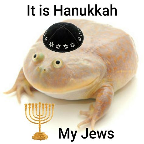 Jew Meme, Hanukkah Lights, Funny Hanukkah, Jewish Humor, Jewish Girl, Jewish Culture, Rosh Hashanah, Top Memes, Happy Hanukkah