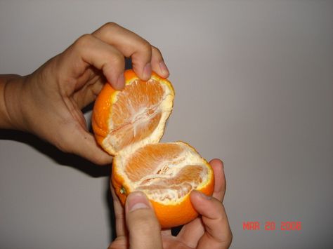 Easiest (cleanest) way to open an Orange Peel An Orange, Cinnamon Honey Butter, Recipes Drinks, Orange Art, Food Crafts, Ground Pork, Orange Peel, Art Refs, Kitchen Tips