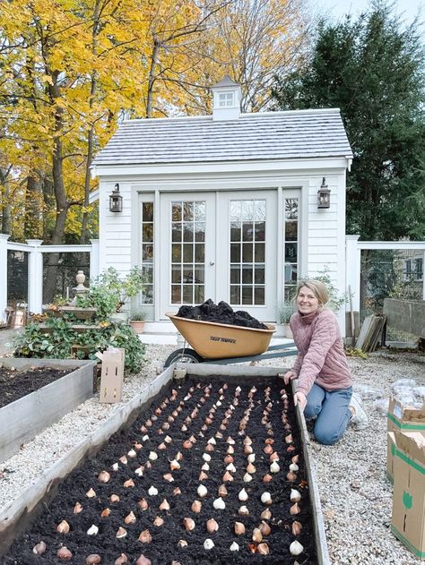 Garden Design 2022 - Finding Lovely Garden Bed Layout, Tattoo Plant, Growing Gardens, Potager Garden, Crop Rotation, Cut Flower Garden, Garden Journal, Garden Bed, Garden Layout