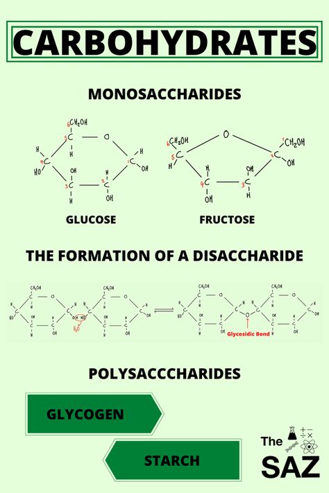 Polysaccharides Notes, Carbohydrates Notes, Igcse Biology, Biochemistry Notes, Study Chemistry, Covalent Bonding, Teaching Chemistry, Bible Topics, 8th Grade Science