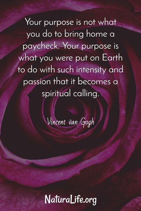 Your purpose is not what you do to bring home a paycheck. Your purpose is what you were put on Earth to do with such intensity and passion that it becomes a spiritual calling. Inspirational quote by Vincent Van Gogh. 30 Motivational and inspirational quotes that will change your life. Passion For Life Quotes Inspiration, Spiritual Purpose Quotes, What Do You Do For A Living, Doing What You Love, Life On Purpose Quotes, Spiritual Life Quotes, Mood Adjectives, Powerful Spiritual Quotes, Your Calling Quotes