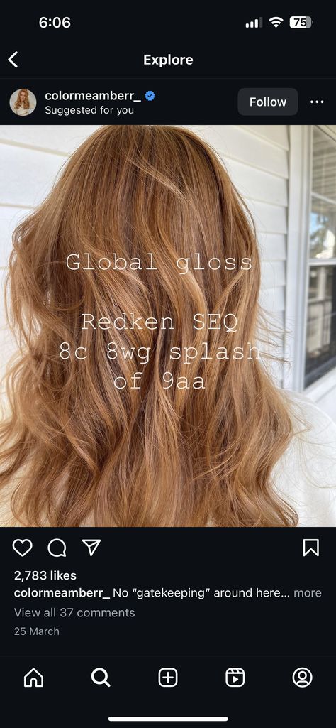 Redken Shades Copper Formulas, Cowboy Copper Formula Shades Eq, Red Shades Eq Formulas, Shades Eq Lowlight Formulas, Copper Formula, Copper Peach Hair, Highlights Tutorial, Golden Copper Hair, Light Copper Hair