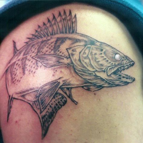 Walleye-Sauger Tattoo, walleye tattoo, walleye tattoo ideas, walleye tattoo pictures, forearm walleye tattoo, realistic walleye tattoo designs, tribal walleye tattoo, walleye tattoo designs, walleye tattoo back, realistic walleye tattoo, traditional walleye tattoo, walleye tattoo on back, infisherman walleye tattoo, walleye tattoo sketch, walleye tattoo slweeve, fishing walleye tattoo, black walleye tattoo, walleye tattoo sleeve, walleye tattoo water color, walleye tattoo watercolor Walleye Tattoo, Large Mouth Bass, King Tattoo, Largemouth Bass Fishing, Tattoo On Back, Tattoo Watercolor, Tattoo Water, Tattoo Back, Tattoo Pictures