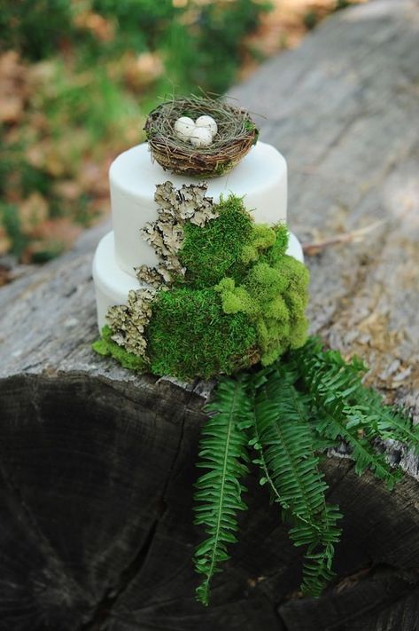 Wedding Cake Forest, Woodland Wedding Cake, Fern Wedding, Enchanted Forest Wedding, Themed Wedding Cakes, Wedding Cake Rustic, Forest Cake, Woodland Wedding, Forest Wedding