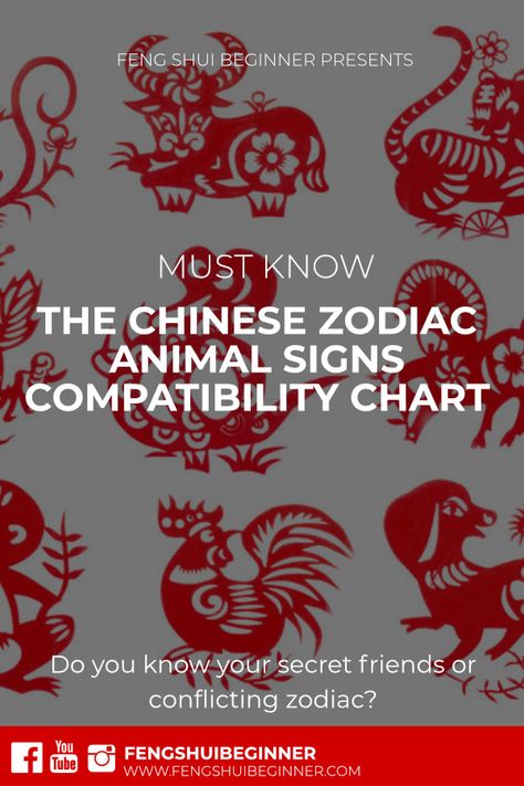 In the Chinese calendar, there are 12 zodiac animal signs that people are born under, namely, rat, ox, tiger, rabbit, dragon, snake, horse, goat, monkey, rooster, dog and pig.   Based on the Chinese astrology, the animal signs that are 4 years apart from each other are in the compatible group (三合) but they are considered to be incompatible (冲) if they are 6 years apart.  Find out more now! Chinese Year Animals, Chinese Astrology Chart, Chinese Astrology Signs, Chinese Zodiac Signs Compatibility, Chinese Zodiac Compatibility, Pig Chinese Zodiac, Pig Zodiac, Rat Zodiac, Dog Chinese Zodiac