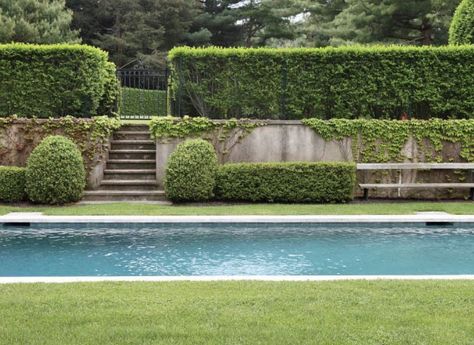 Hamptons Fence, Hamptons Garden, Hampton Garden, Riverside Garden, Beautiful Outdoor Living Spaces, Pool Landscape Design, Driveway Landscaping, Pool Garden, Luxury Pools