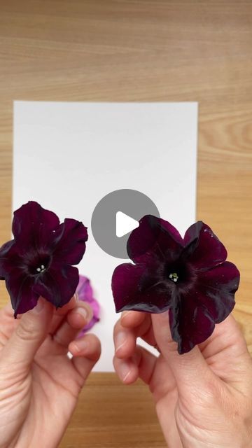 HammerFlower on Instagram: "Have you ever tried hammering flowers after watching the video? 🔨🌸🌿🧐" Flower Hammering On Paper, Flower Press On Fabric, Hammer Flowers On Fabric, Diy Dry Flowers Crafts, Dry Flowers Craft Ideas, Dried Flowers Painting, Hammering Flowers On Paper, Flower Press Ideas, Pressed Flowers On Canvas