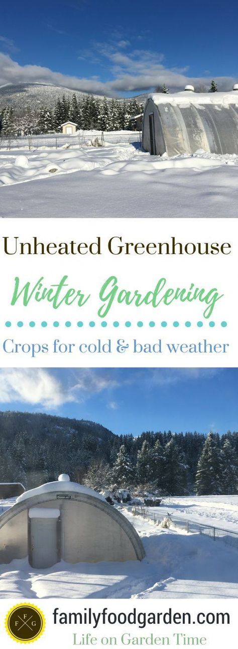 Winter greenhouse gardening Rebecca Boone, Greenhouse Tips, Homesteading Garden, Growing Winter Vegetables, Underground Greenhouse, Garden Cover, Victorian Greenhouses, Garden Winter, Cold Frames