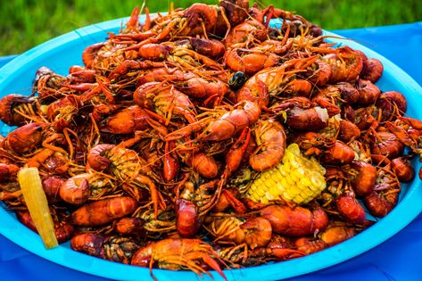 How To Cook Crawfish, Crawfish Boil Recipe, Live Crawfish, Crawfish Recipes, Louisiana Crawfish, How To Cook Liver, Crawfish Season, Crawfish Boil, Seafood Boil