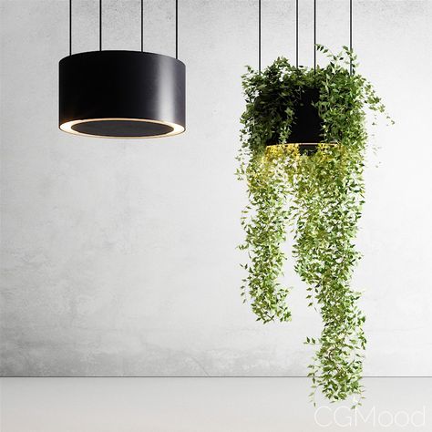 Hanging Vase Holder By CSMA - 3D Model for FStorm Lamp Planters, Pine Candle, Hanging Vase, Vase Holder, Hanging Vases, Pot Lights, Small Pendant Lights, Tall Ceilings, Ceiling Hanging