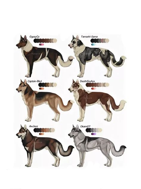 Wolf Fur Pattern, Dog Oc, Fursona Ideas, Fur Pattern, Bully Breeds Dogs, Wolf Character, Canine Art, Wolf Design, Animal Patterns