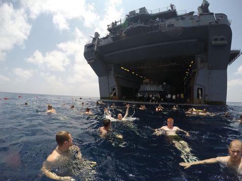 Sailors and Marines aboard the amphibious assault ship USS Iwo Jima (LHD 7) participate in a swim call. Iwo Jima is the flagship for the Amphibious Ready Group and, with the embarked 24th Marine Expeditionary Unit (24th MEU), provides a versatile, sea-based expeditionary force that can be tailored to a variety of missions in the US 5th Fleet area of operations. Military Jokes, Diving Boards, Military Memes, Iwo Jima, Military Humor, Us Marine Corps, Military Photos, 웃긴 사진, Us Marine