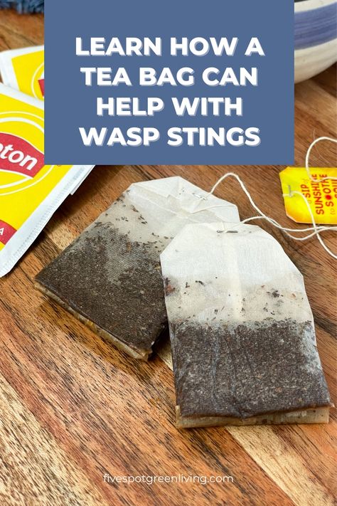 Did you know that a tea bag can be your secret weapon against pesky wasp stings? Find out how! Wasp Stings Relief, Wasp Sting Remedy, Wasp Sting, Wasp Repellent, Calming Rituals, Sting Relief, Wasp Stings, Food Doctor, Lemon Drink