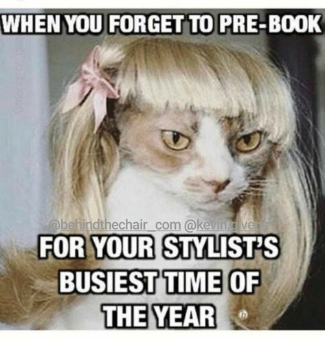 Hair Appointment Quotes, Hairdresser Humor, Stylist Humor, Holiday Quotes Funny, Hairstylist Problems, Hairstylist Humor, Hair Salon Quotes, Hairdresser Quotes, Salon Promotions