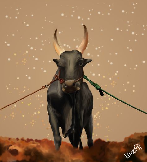 For Jallikattu on Behance Jallikattu Kaalai Hd Images, Tamil Tattoo, Pongal Images, Bull Images, Village Drawing, Bus Skin, Hanuman Hd, Thumbnail Background, Indian Flag Images