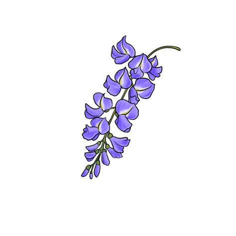 How To Draw Wisteria, Wisteria Flower Drawing, Wisteria Drawing, Full Circle Tattoo, Mommy Daughter Tattoos, Anime Brown Hair, Pretty Tattoo, Flower Bookmark, Tattoos For Daughters