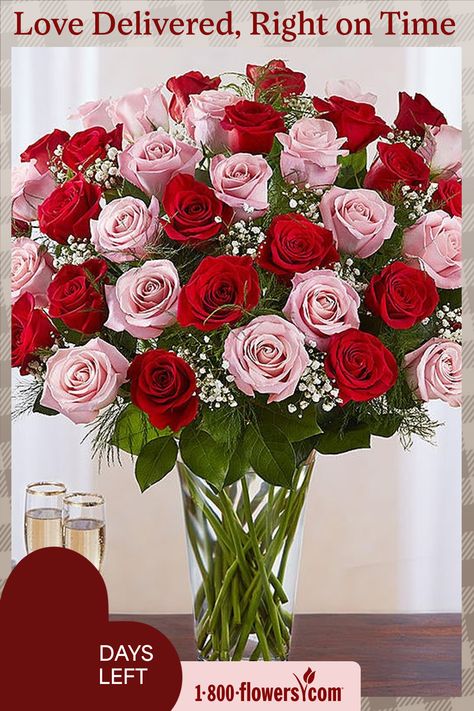 Our radiant long stem roses are the ultimate romantic surprise. Two, three or four dozen blooms in charming pink & classic red are artistically arranged by our expert florists inside an elegant glass vase and personally hand- delivered to help you express how you feel in a beautiful way. | Our radiant long stem roses are the ultimate romantic surprise. Two, three or four dozen blooms in charming pink & classic red are artistically arranged by our expert florists inside an elegant glass vase and Red Rose Flower Bouquet, Quince Flowers, Valentines Flower, Bouquet Valentines, Red Rose Arrangements, Valentine Flower Arrangements, Red Roses Bouquet, Pink Red Roses, Color Roses