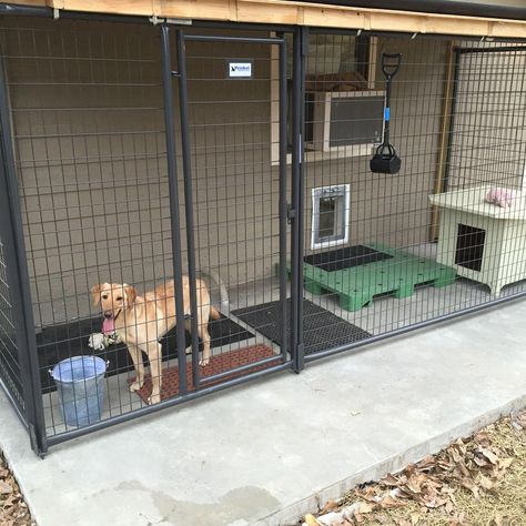 Dog House Kennel-Makes the dog house connected to the doggie door so people couldn't get inside through the doggie door Outdoor Dog Area, Diy Dog Run, Backyard Dog Area, Kennel Ideas Outdoor, Cheap Dog Kennels, Dog Backyard, Indoor Dog Kennel, Dog Kennel Designs, Kennel Ideas