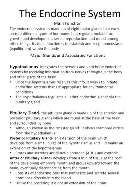 The Endocrine System Major Glands and Associated Functions Hypothalamus- integrates the nervous and vertebrate endocrine systems by receiving information.> Human Endocrine System Notes, Hypothalamus Notes, Endocrine Glands Notes, Endocrine System Study, Endocrine System Notes, Endocrine System Hormones, Endocrine System Nursing, Endocrine Hormones, Nursing Study Tips